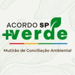 Conciliação ambiental: acordos importantes para a regularização no Brasil