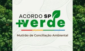 Conciliação ambiental: acordos importantes para a regularização no Brasil