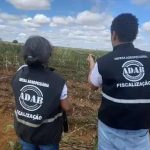 Concurso Adab 2026: 200 Vagas com Salários de até R$7,4 mil