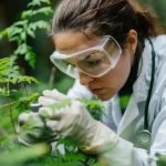 Concursos SP: Quase 300 Vagas na Área Ambiental Aguardam Candidatos