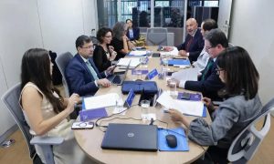 Conferência discute questões do princípio da simetria e federalismo brasileiro