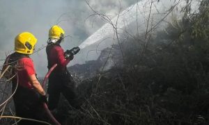 Corpo de Bombeiros Roraima abre vagas para brigadistas em processo seletivo