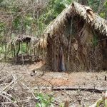 Aldeia indígena com casas de palha na floresta, ambiente natural Brasil, cultura indígena, tradição e preservação, direitos indígenas Brasil, notícias de direito e sociedade, direitos humanos, proteção cultural indígena.