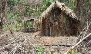 Aldeia indígena com casas de palha na floresta, ambiente natural Brasil, cultura indígena, tradição e preservação, direitos indígenas Brasil, notícias de direito e sociedade, direitos humanos, proteção cultural indígena.