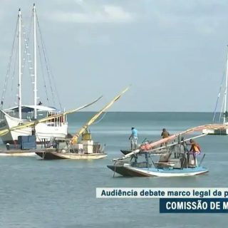 Debate no Senado propõe leis separadas para pesca e aquicultura