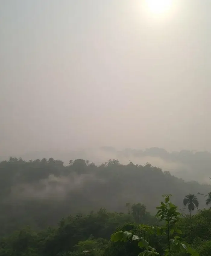 Você sabia que até a natureza pode ser 'criminosa'?