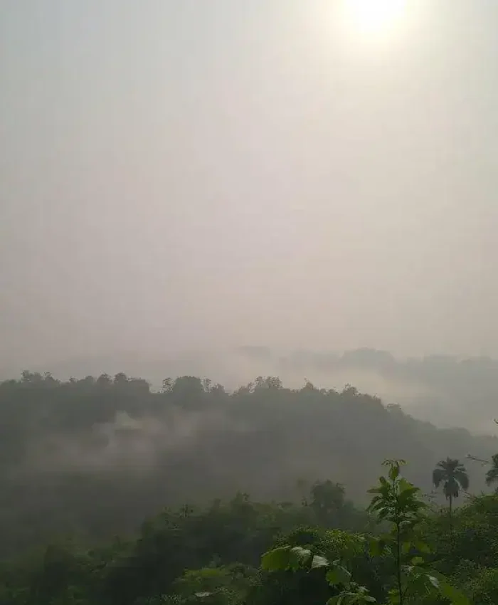 Você sabia que até a natureza pode ser 'criminosa'?