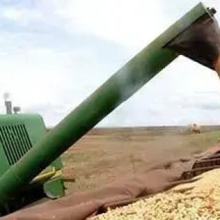 Empresas condenadas por demora de descarregamento de soja no Porto de Santos