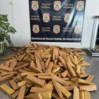 FICCO/SP apreende mais de 410 kg de maconha em Andradina