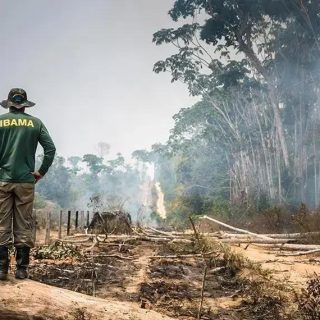 Governo libera R$ 60,46 milhões para combater incêndios e desmatamento