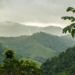 ICMBio abre seleção para agente ambiental no Parque Alto Cariri BA