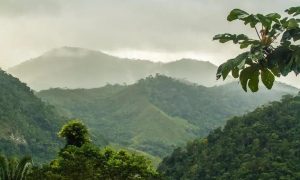 ICMBio abre seleção para agente ambiental no Parque Alto Cariri BA