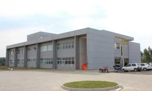 IFRS Rolante abre vaga de professor visitante em Biologia
