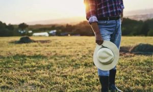 Ilegalidade em contratos de crédito rural e a exceção de pré-executividade