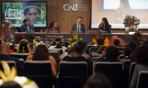 Justiça indígena: CNJ debate presença, demarcação e acesso nos territórios