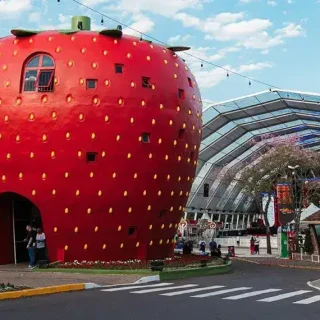 Lei sancionada cria Rota Turística Vale da Felicidade no RS e região