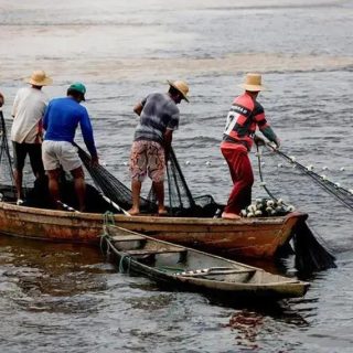 Lei sancionada reforma o seguro-defeso; vetos mantêm controles e limites