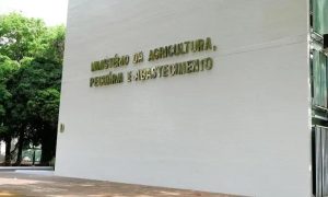 Mapa solicita novo concurso com 210 vagas; veja cargos e salários