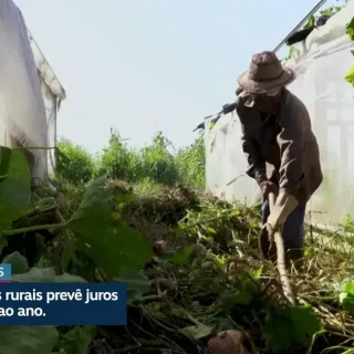 MP autoriza renegociação de dívidas rurais com juros a partir de 5% ao ano