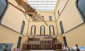 Museu Nacional Vive celebra avanços em festival gratuito no Rio de Janeiro