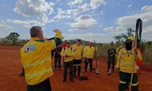 Novo concurso da Fundação Florestal SP oferece 70 vagas efetivas