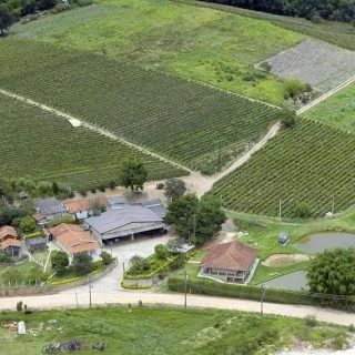 Novo sistema visa fortalecer a segurança no campo com geocercas virtuais