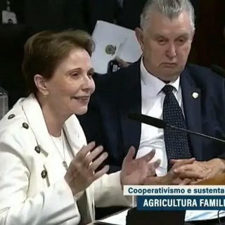 O papel essencial da agricultura familiar na sustentabilidade e na renda