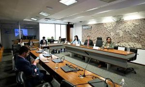 Pacto de Prevenção: Obstáculos para o combate aos feminicídios no Brasil