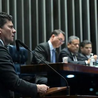 Poda de árvore em caso de risco de acidente é descriminalizada pelo Senado