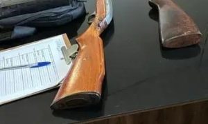 Polícia Federal Lança Operação Contra Crimes Ambientais e Tráfico no Sul