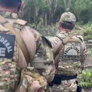 Polícia Federal realiza operação contra o cultivo ilegal de maconha no Amazonas
