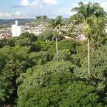 Prefeitura de Lavras abre seleção com 7 vagas para diversos cargos
