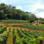 Prefeitura de São Roque abre concursos com seis vagas e salários de até R$7.860