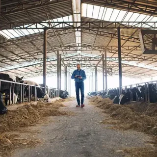Presidente veta projeto que criava piso salarial para zootecnistas