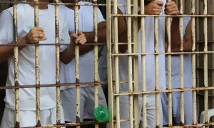 Prisão preventiva e crime organizado: limites e preservação de direitos