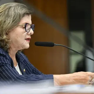Projeto exige alerta em veículos novos contra esquecimento de crianças e pets