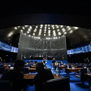 Projeto Senado autoriza exceção à repatriação de crianças expostas à violência