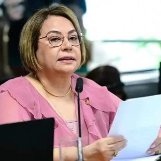 Semana Nacional de Cuidados com Gestantes e Mães é aprovada no Senado