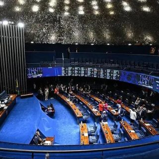 Senado deve votar política de proteção a animais resgatados nesta semana