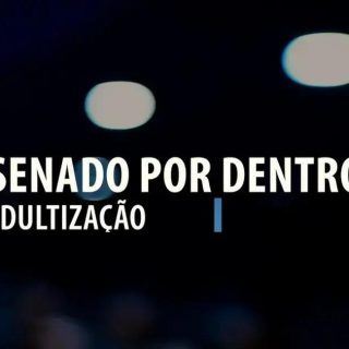 Senado discute a Adultização em recente audiência pública