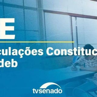 Vínculos constitucionais e funções do Fundeb destacadas em audiência pública do TV Senado.
