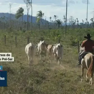 Senado negocia com governo uso do pré-sal para renegociar dívidas rurais