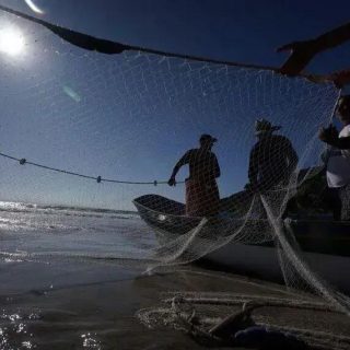 Senado propõe programa de prevenção ao câncer de pele para trabalhadores rurais