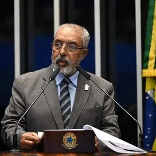 Senador Paim defende avanço no Estatuto dos Cães e Gatos no Senado