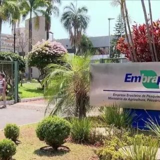 STF afasta cobrança de IPVA de veículos da Embrapa no Maranhão