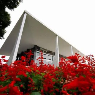 STF declara inconstitucional lei de Sorocaba sobre Marcha da Maconha