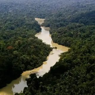 STF determina medidas imediatas contra crime organizado na Amazônia