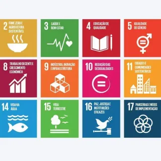 STF e Agenda 2030: como julgamentos impactam cidades e meio ambiente