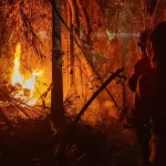 STF exige planos da União e estados contra incêndios por El Niño