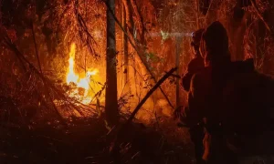 STF exige planos da União e estados contra incêndios por El Niño